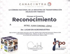 Branding, Negocios y Marketing Digital