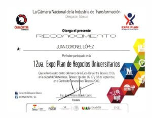 Branding, Negocios y Marketing Digital